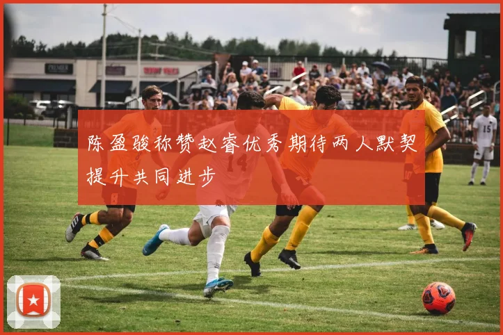 陈盈骏称赞赵睿优秀期待两人默契提升共同进步