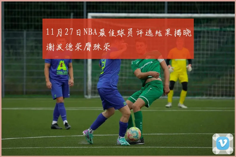 11月27日NBA最佳球员评选结果揭晓谢泼德荣膺殊荣