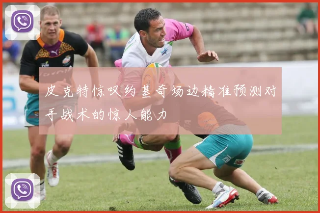 皮克特惊叹约基奇场边精准预测对手战术的惊人能力