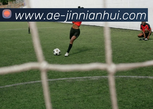 今年会官网服务体系